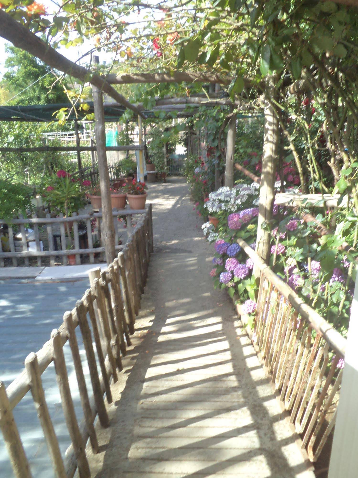 Bed and Breakfast Puntaferano