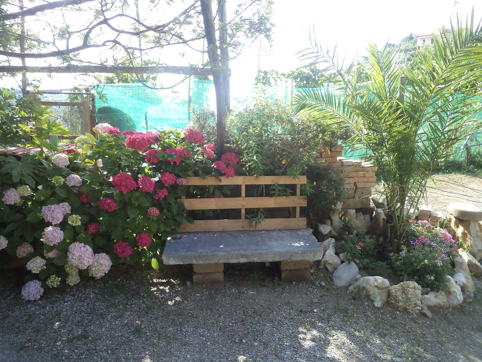 Bed and Breakfast Puntaferano