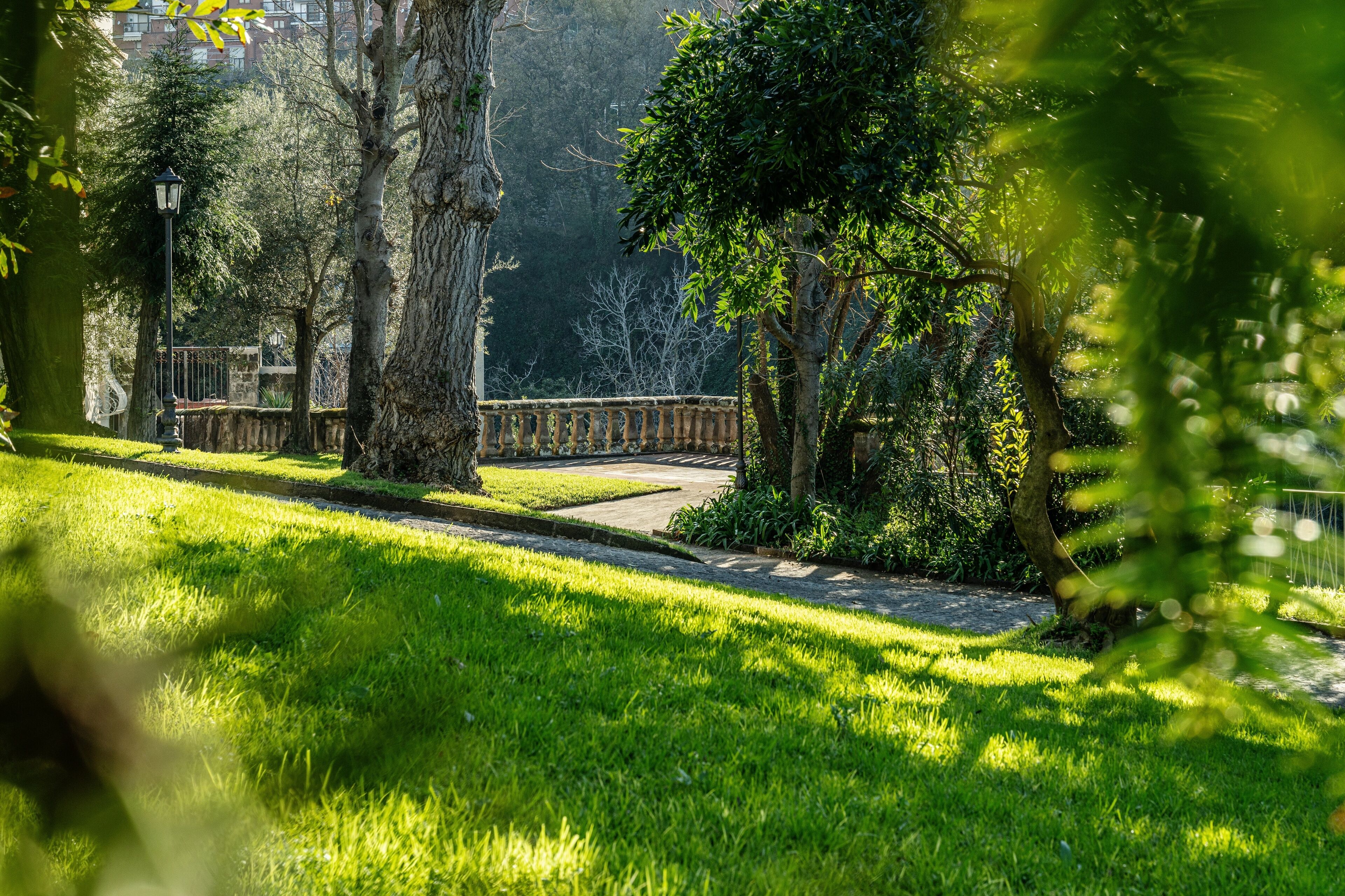 La Tuja Relais du Parc