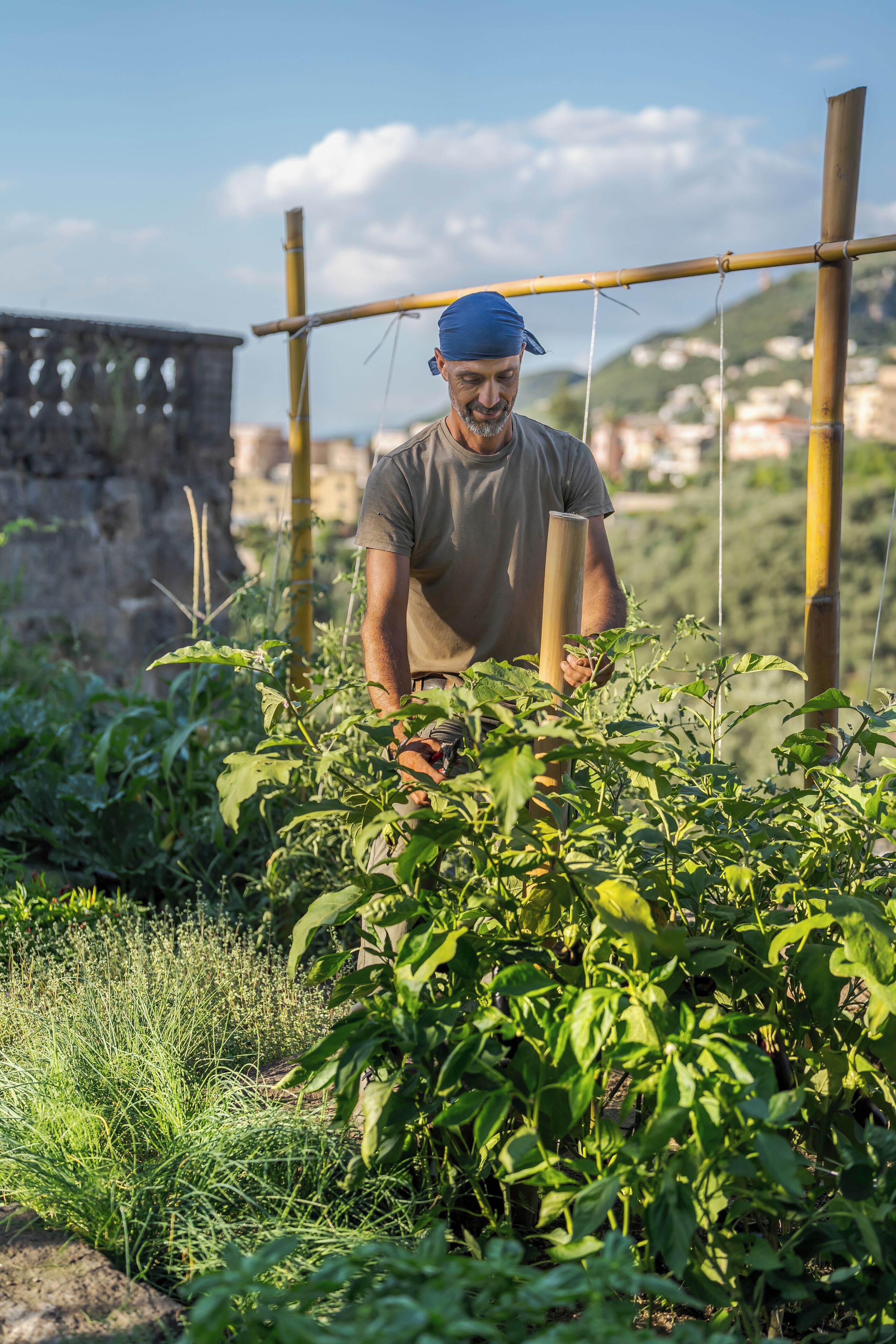 La Tuja Relais du Parc