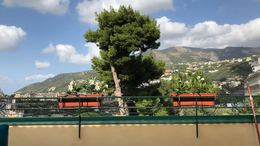 Vesuvio View