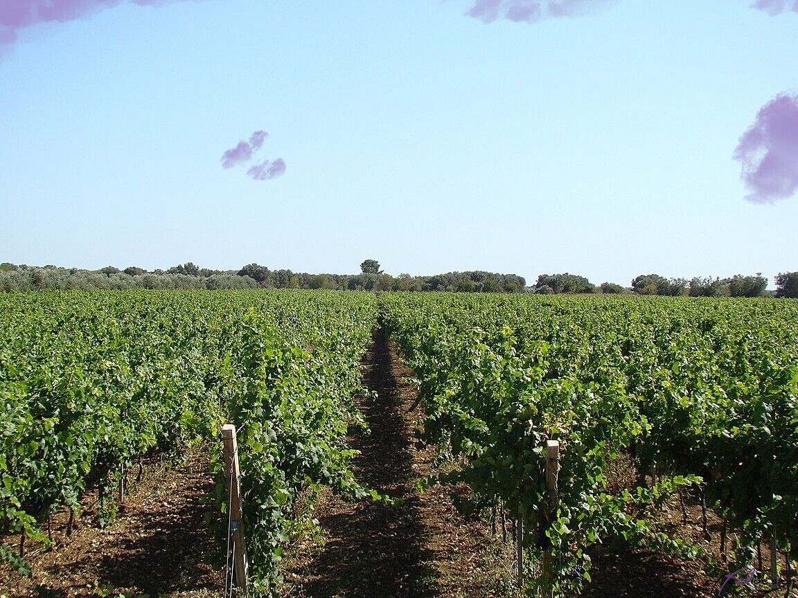 Relais Terre di Terre