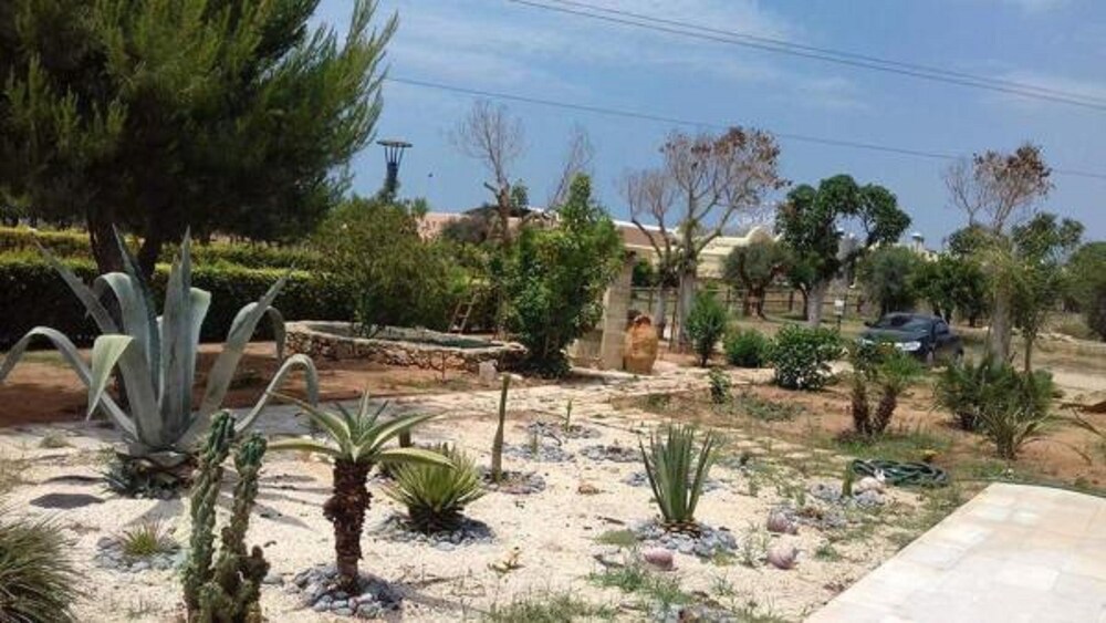 B&B Agriturismo Tenuta Barone