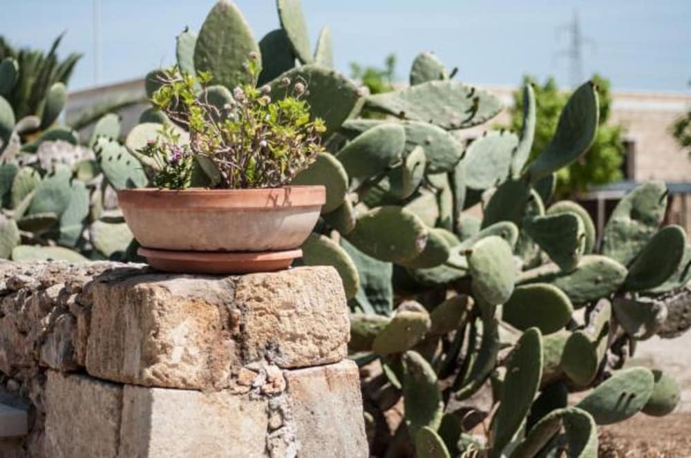 B&B Agriturismo Tenuta Barone