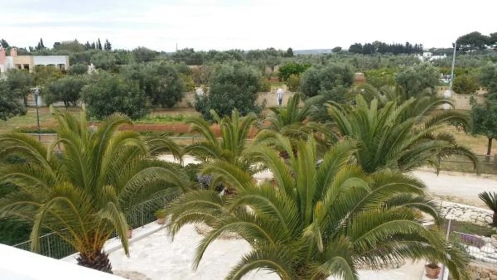 B&B Agriturismo Tenuta Barone