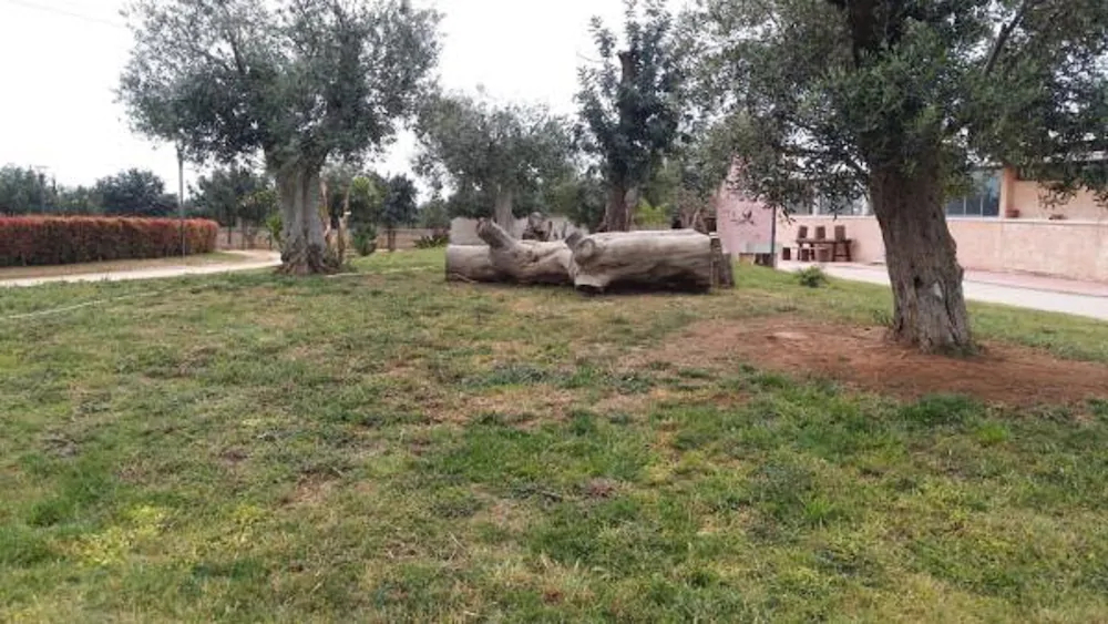 B&B Agriturismo Tenuta Barone