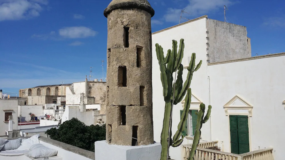 Corte Moline