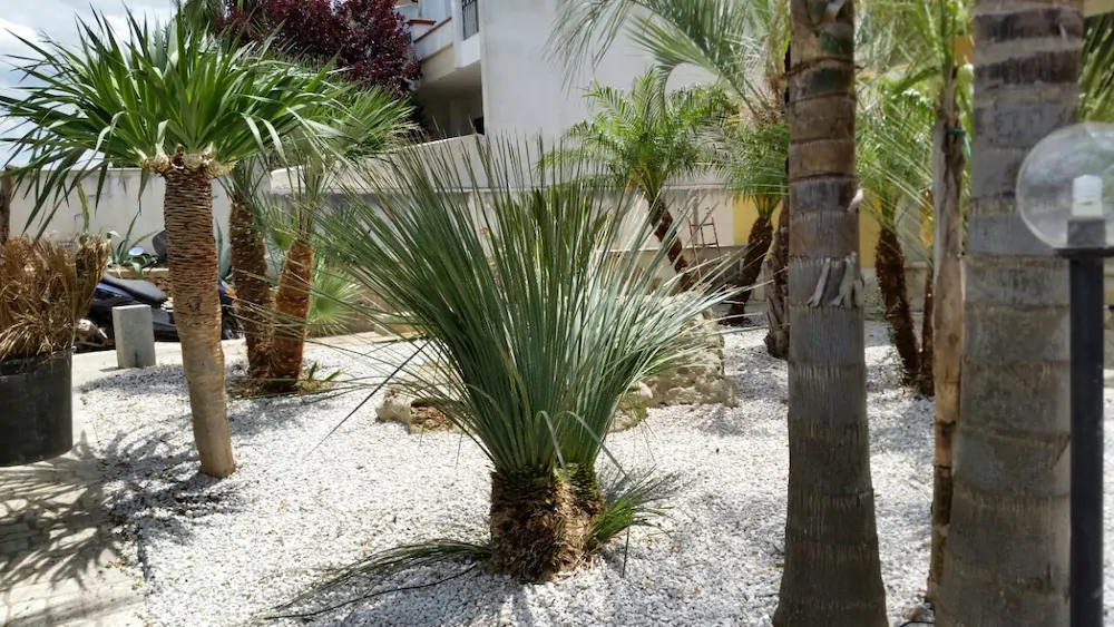 Villa Belvedere di Rita