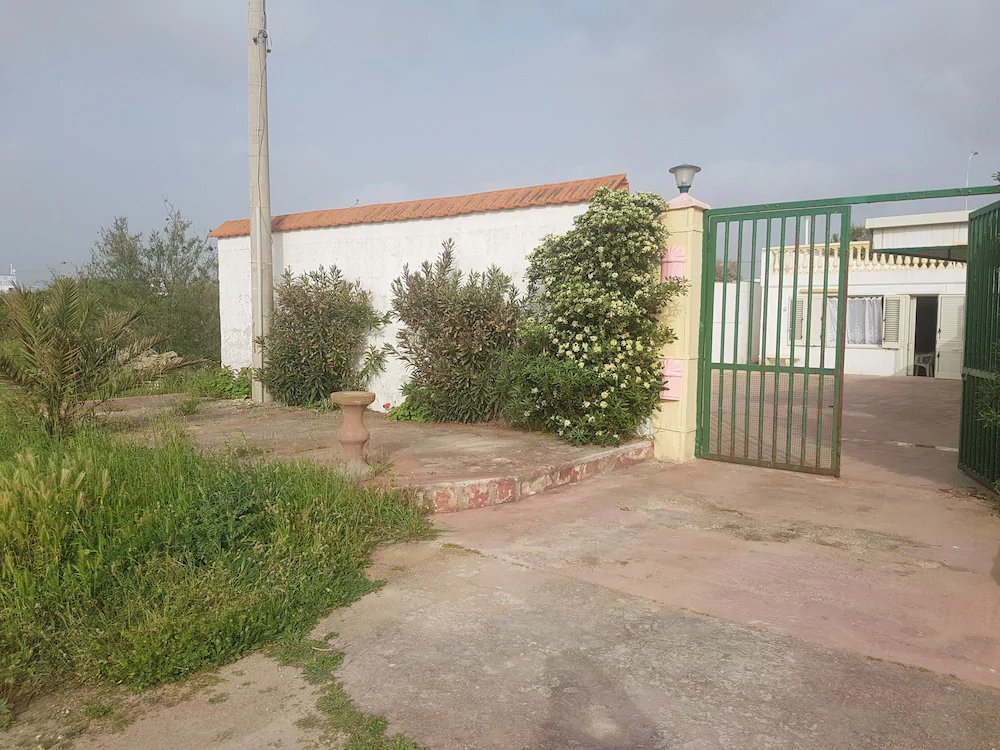 WS Economy Gallipoli