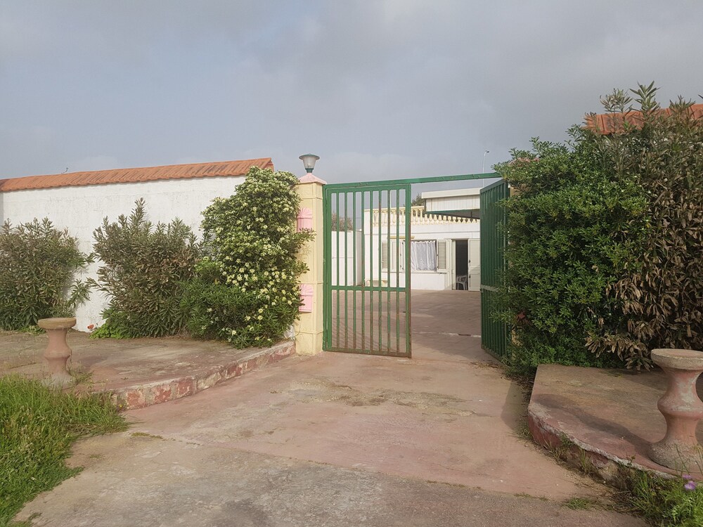 WS Economy Gallipoli