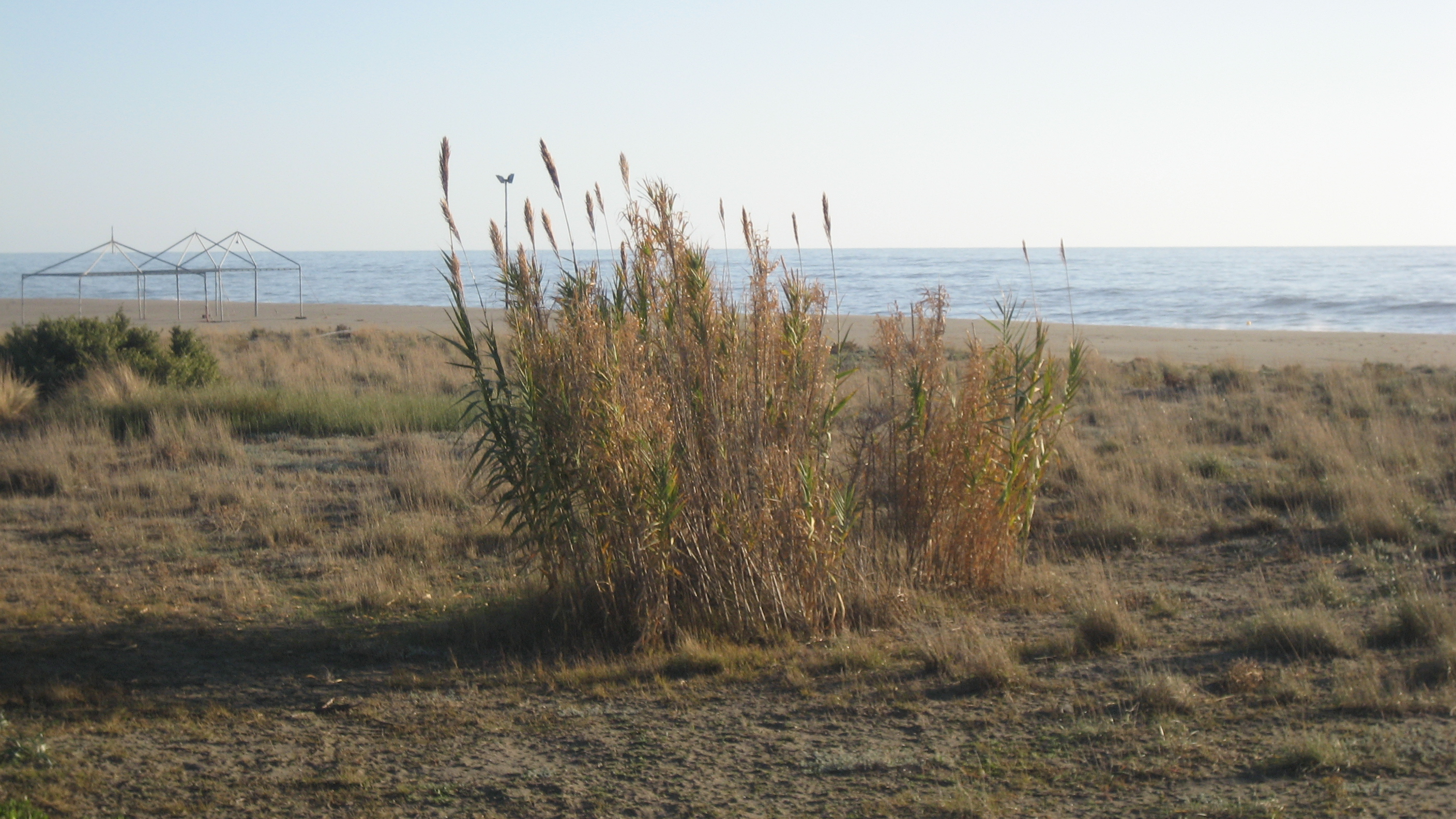 Heraclea Hotel Residence