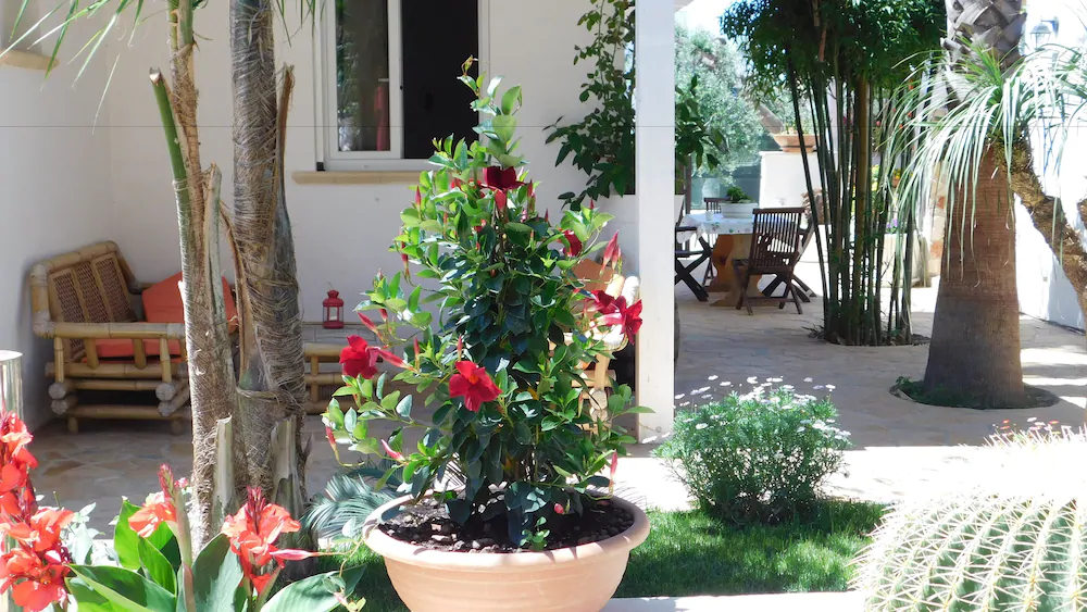Raggio Di Sole Bed & Breakfast