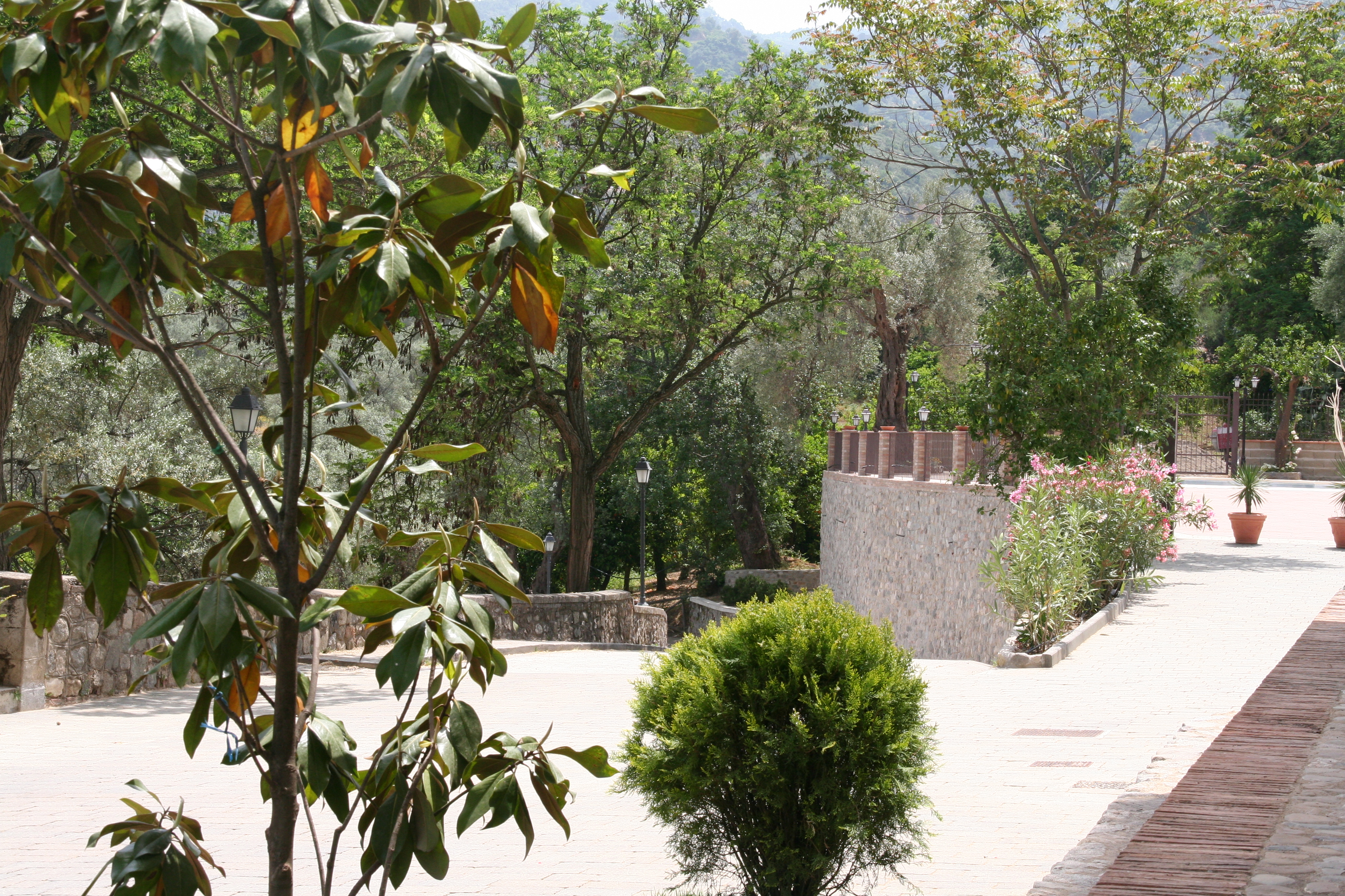 Tenuta Ciminata Greco