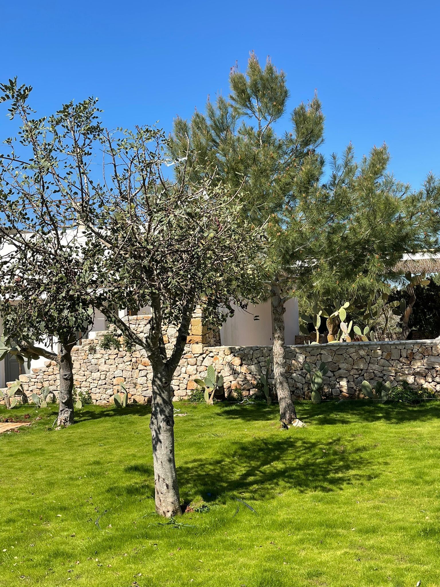 Masseria Baroni Di Montesardo