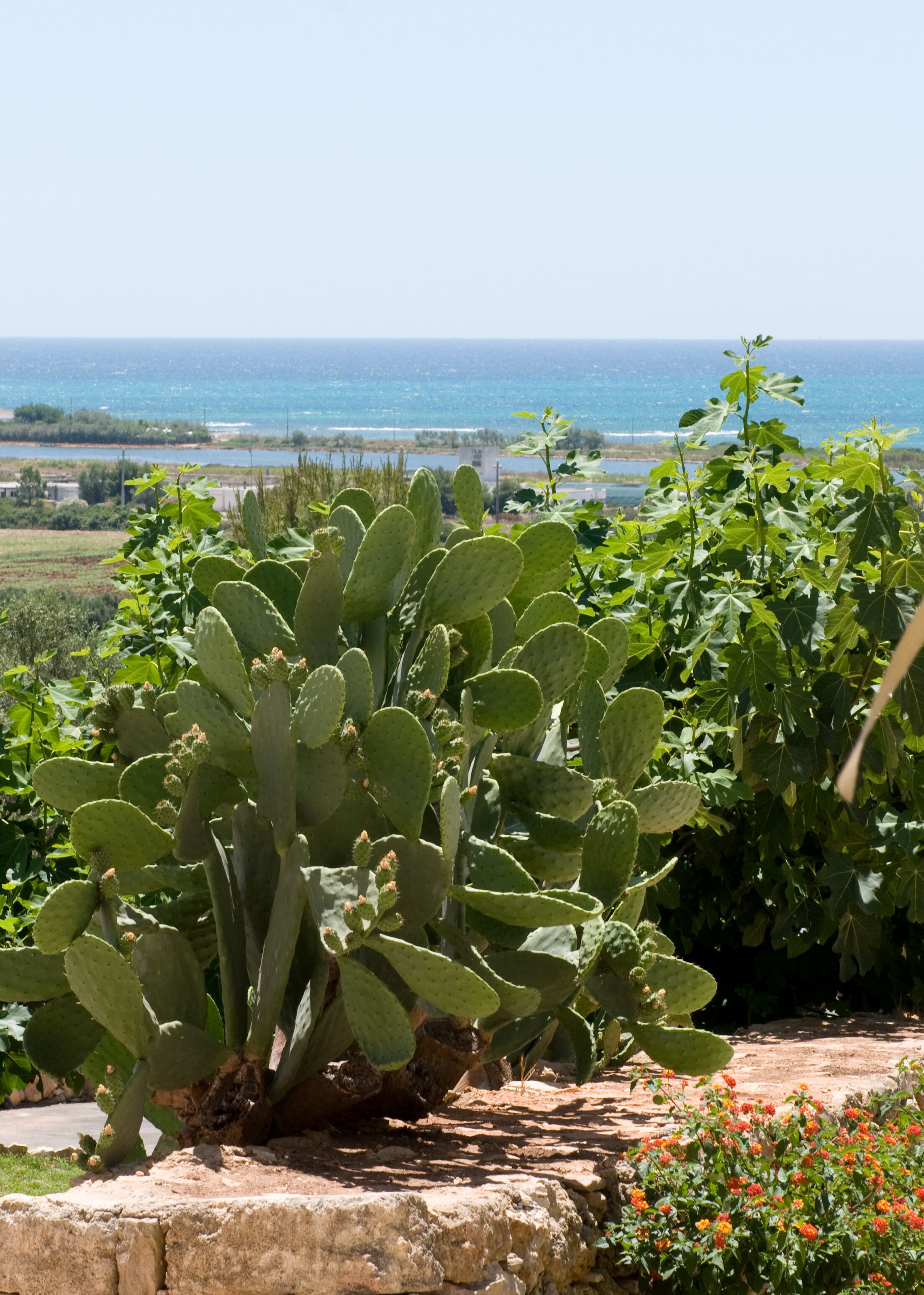 Masseria Baroni Di Montesardo