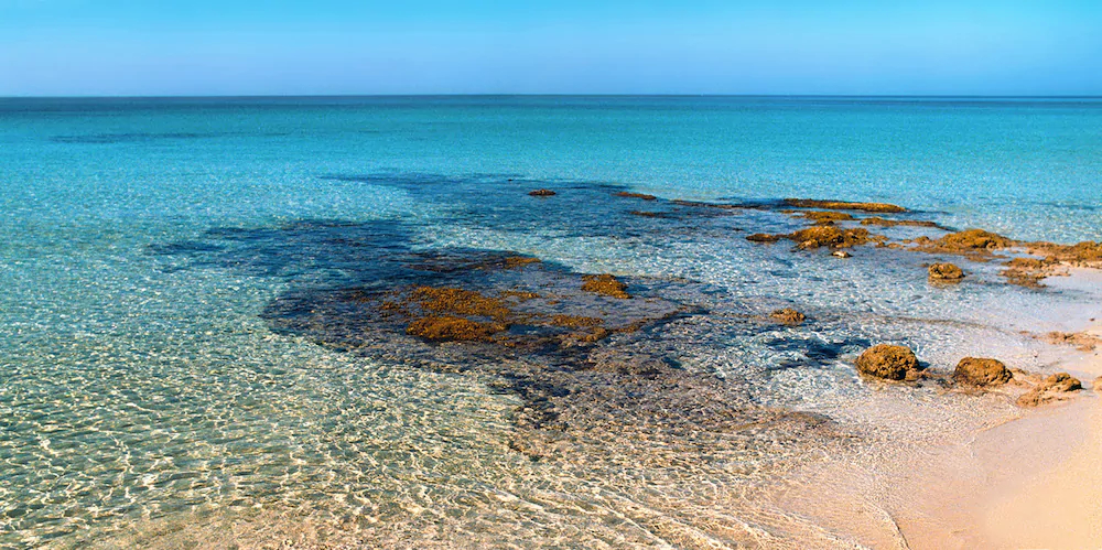 Villa Quattro Pini Bed and Breakfast