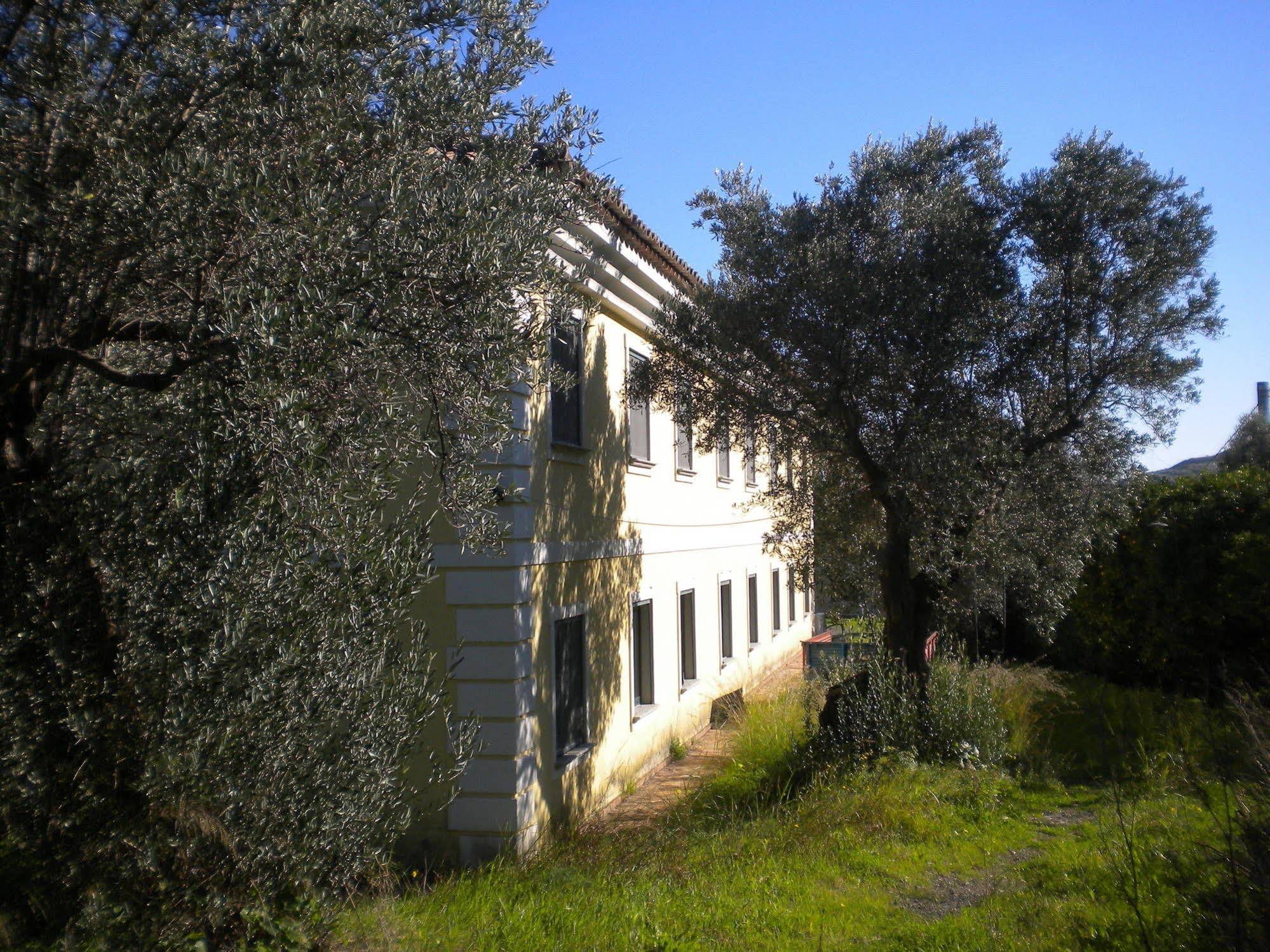 Tenuta Castellesi
