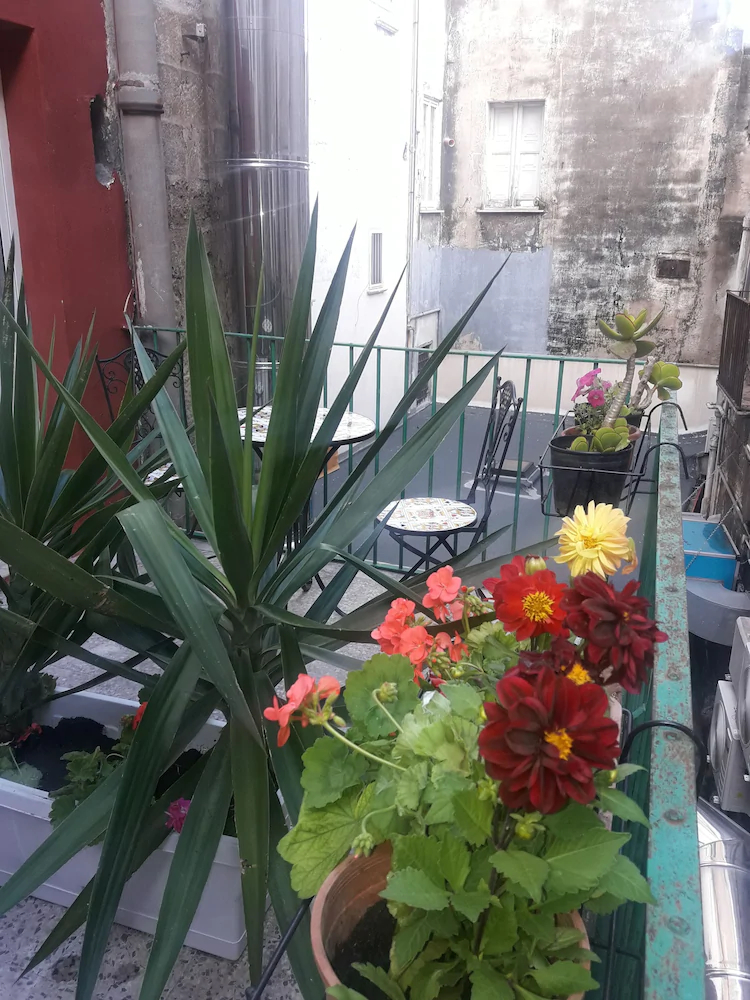 Affittacamere Al Molo Sant'eligio