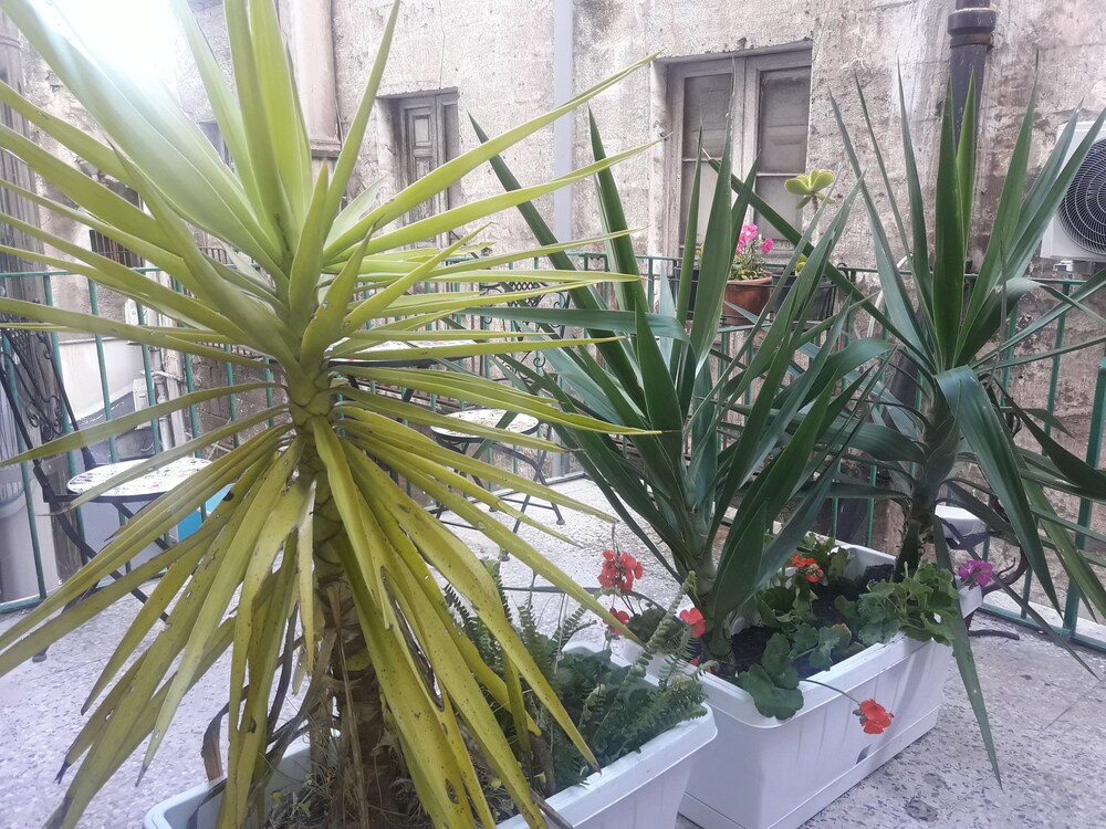 Affittacamere Al Molo Sant'eligio