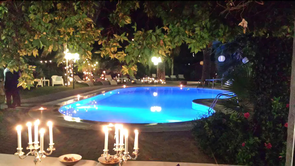 All’Ombra Del Palmeto