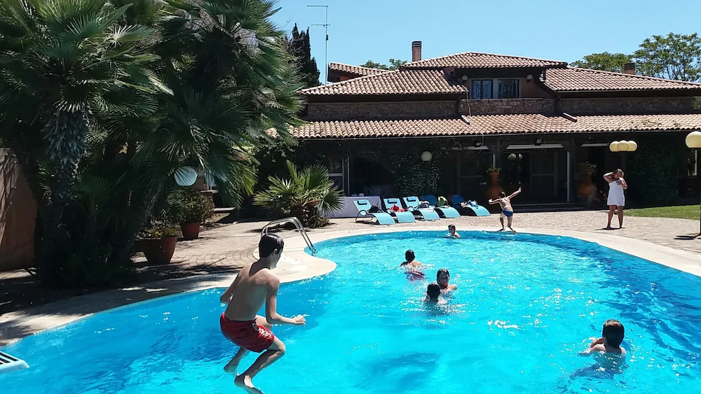 All’Ombra Del Palmeto