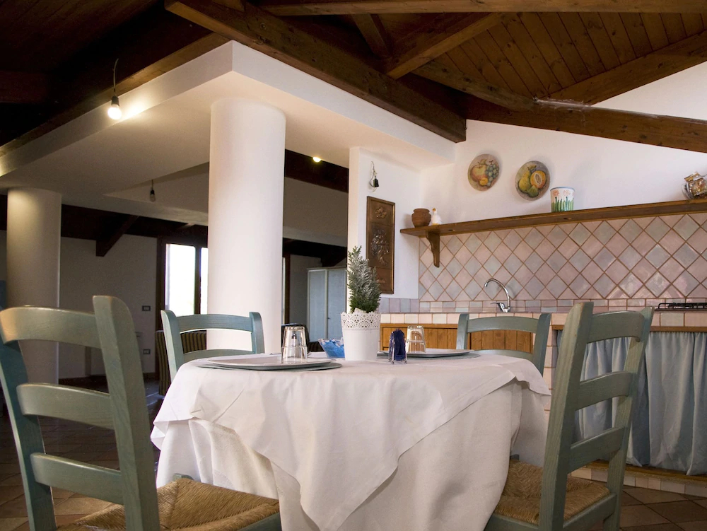 All’Ombra Del Palmeto