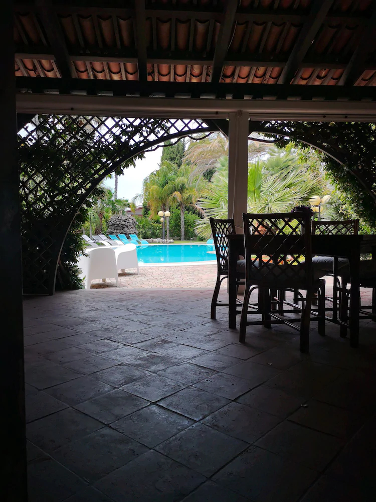 All’Ombra Del Palmeto