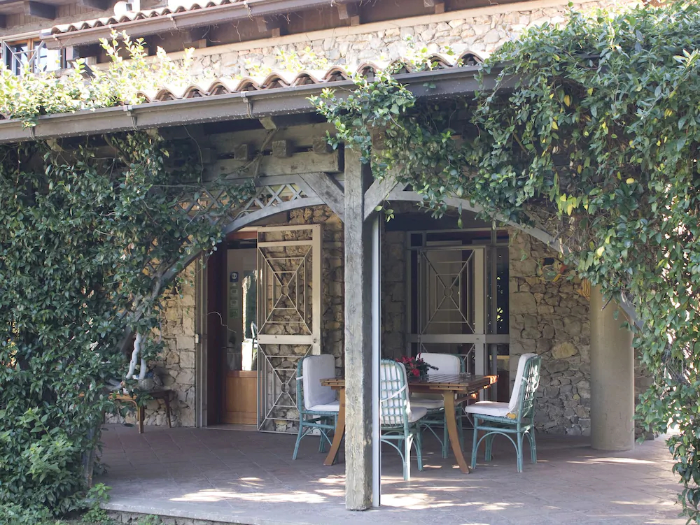 All’Ombra Del Palmeto