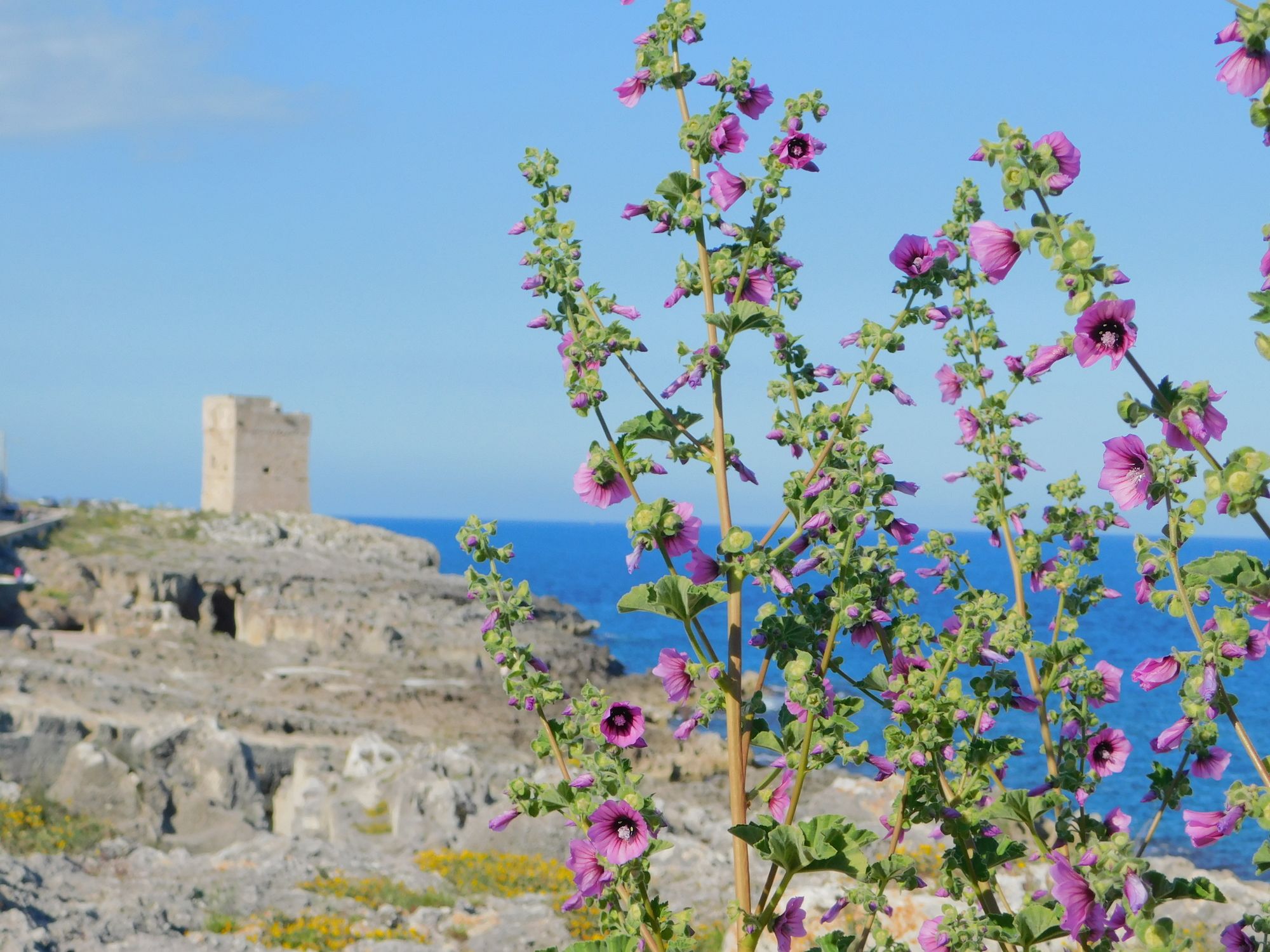 La Maison Blue Salento