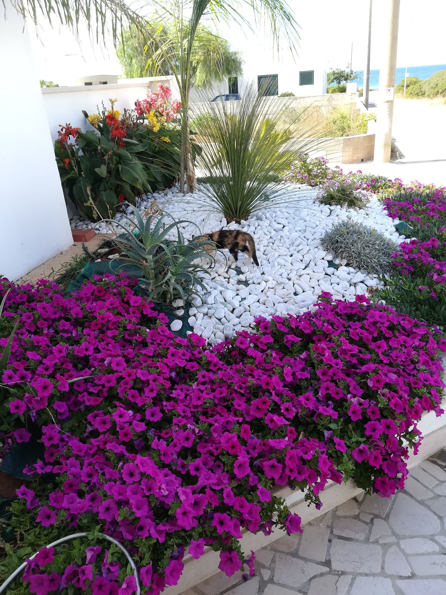 La Maison Blue Salento