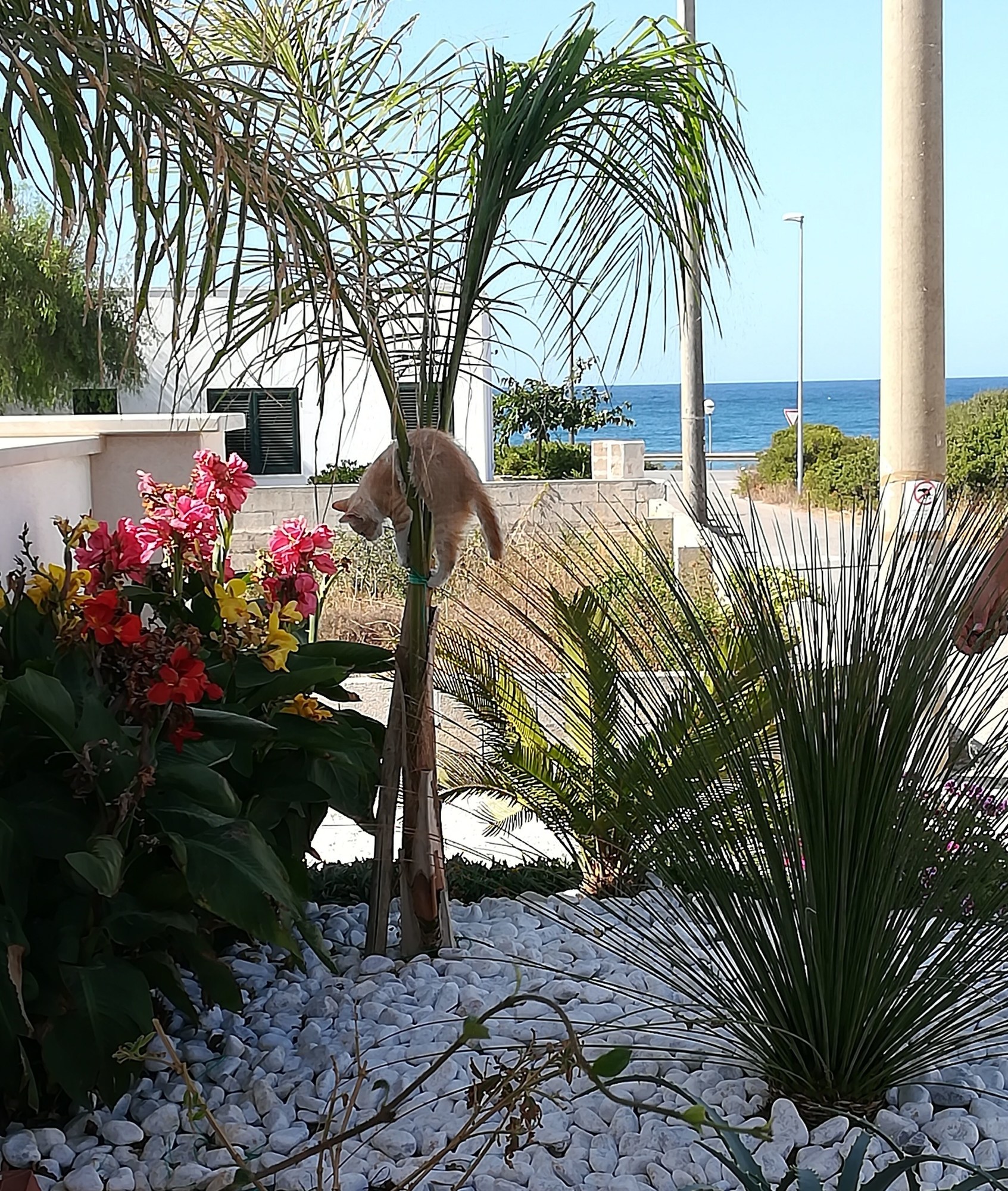 La Maison Blue Salento