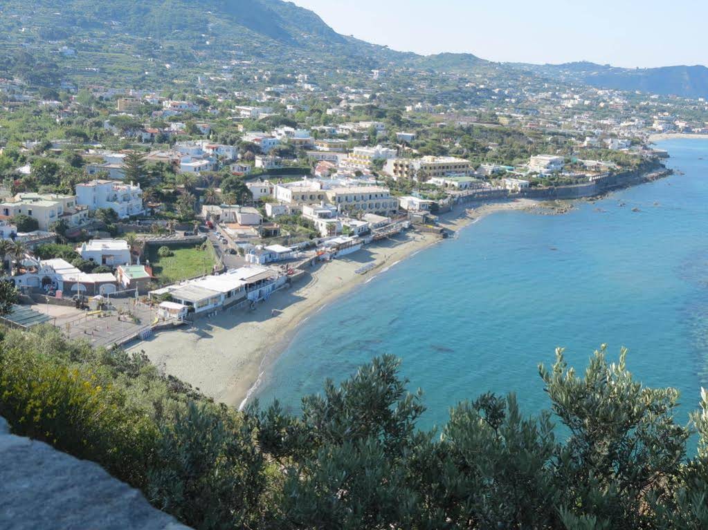 Santa Maria