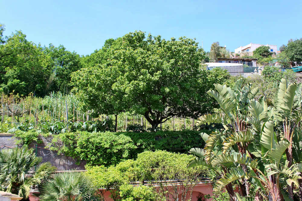 Casa Seralba