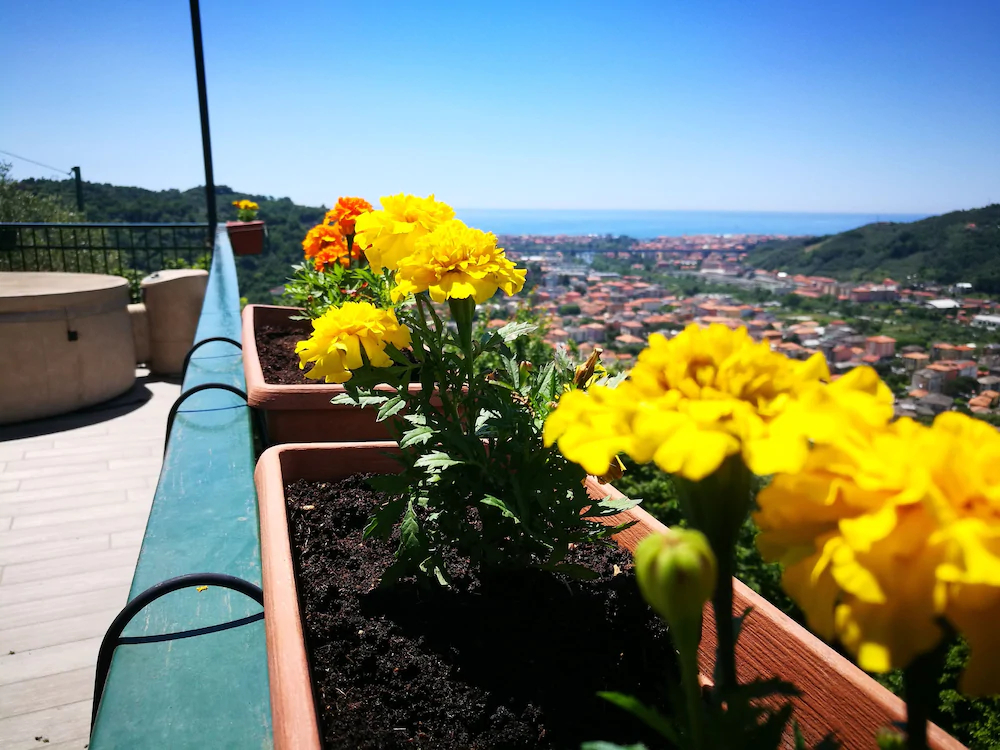 B&B La Terrazza Sui Fieschi