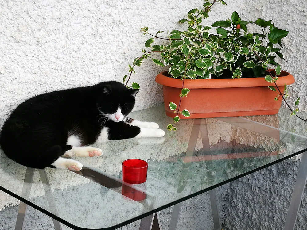 B&B La Terrazza Sui Fieschi
