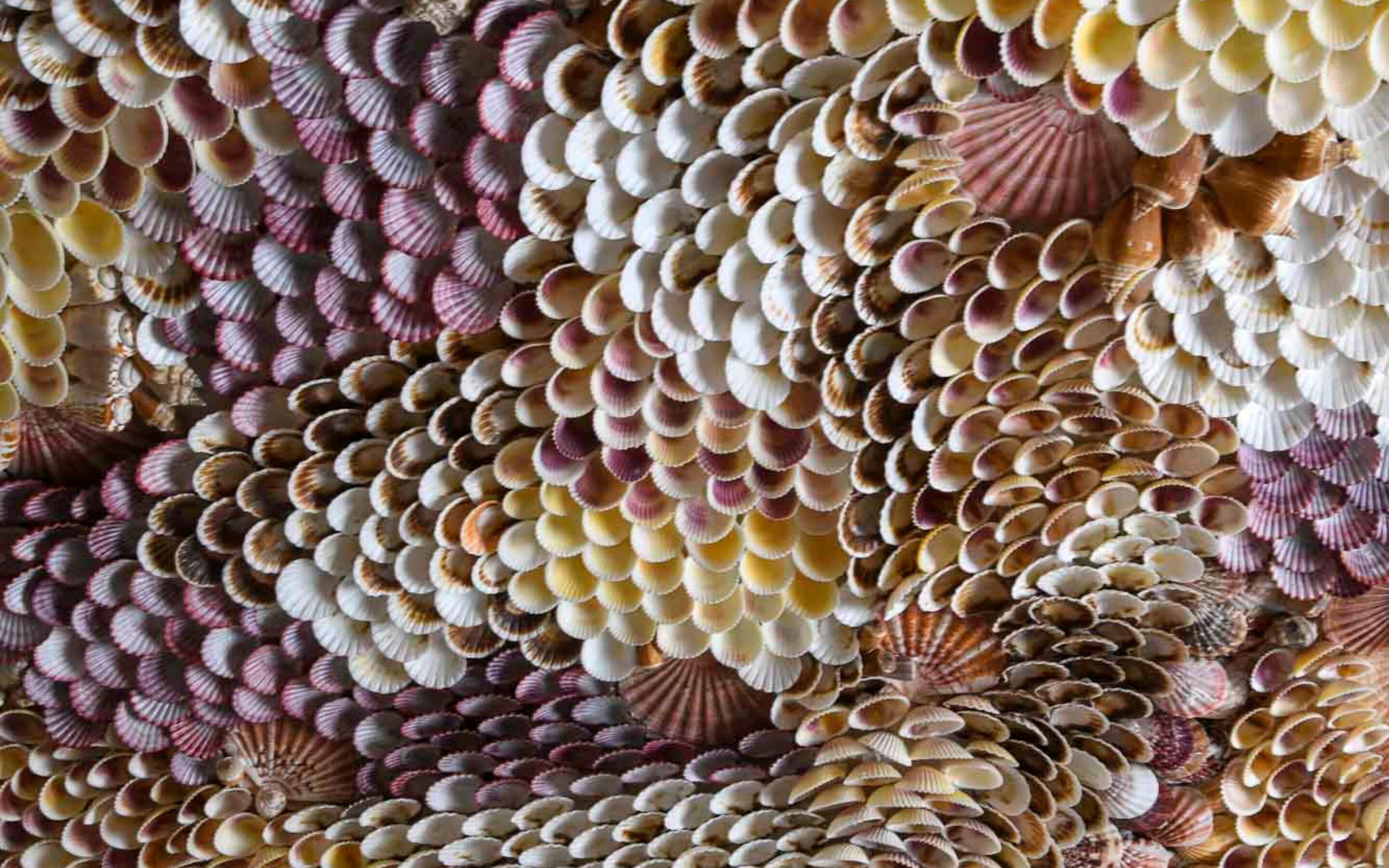 Hotel Palazzo Durazzo Suites