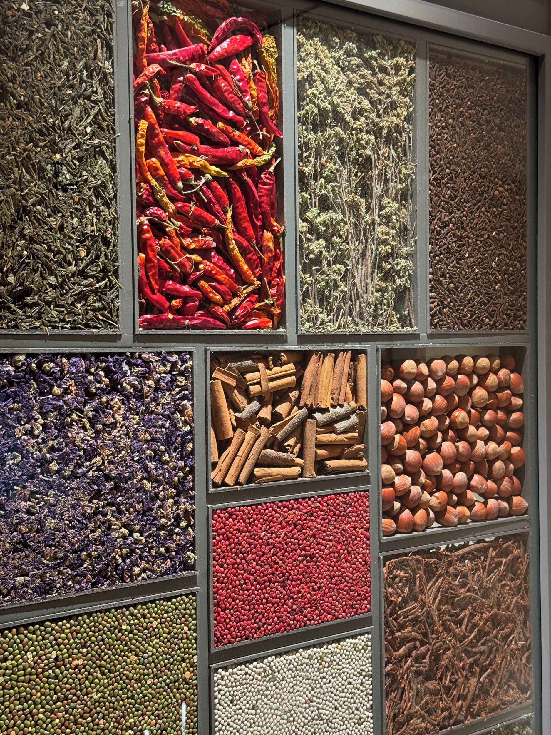 Hotel Palazzo Durazzo Suites