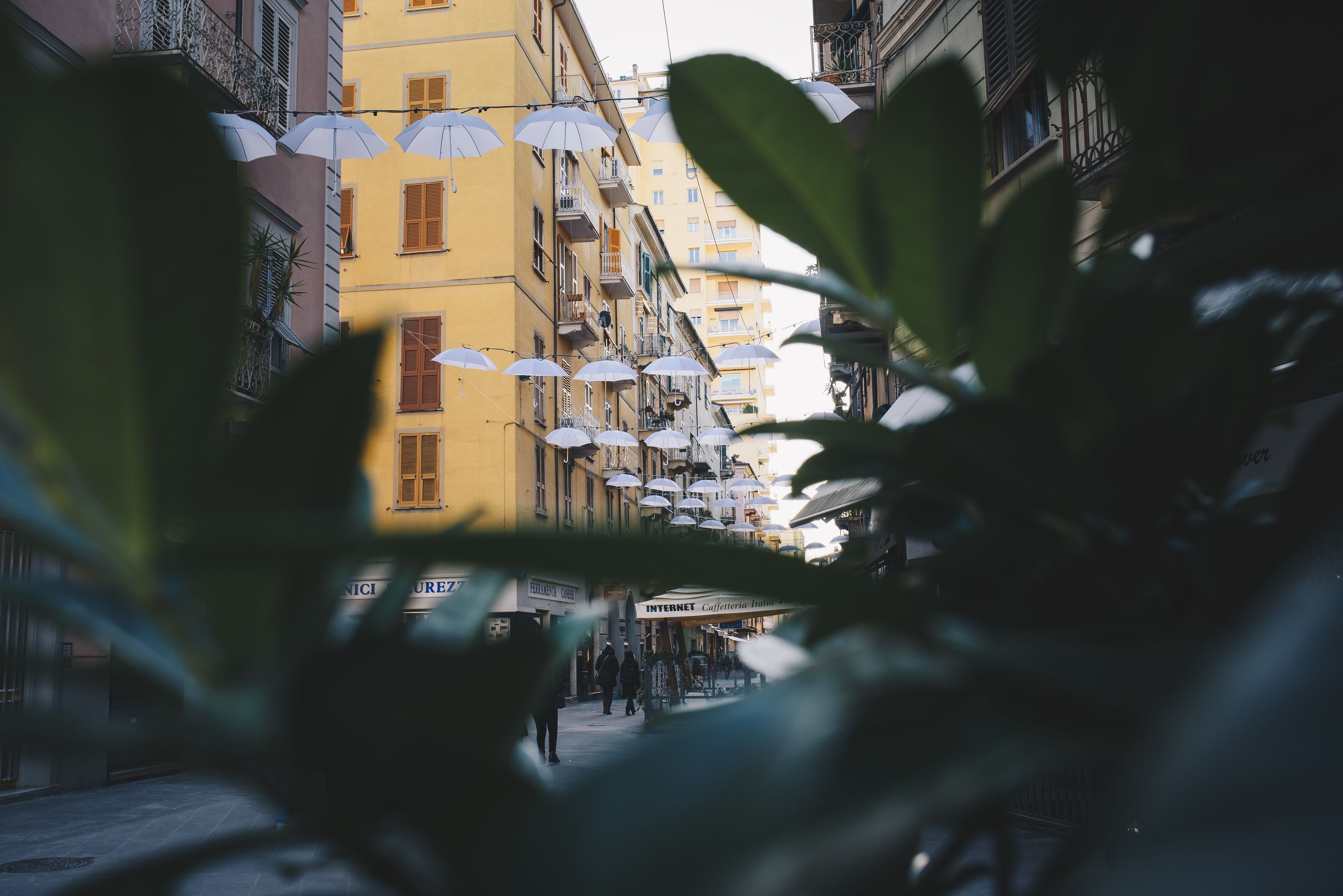 Affittacamere Superior Golfo e 5 Terre