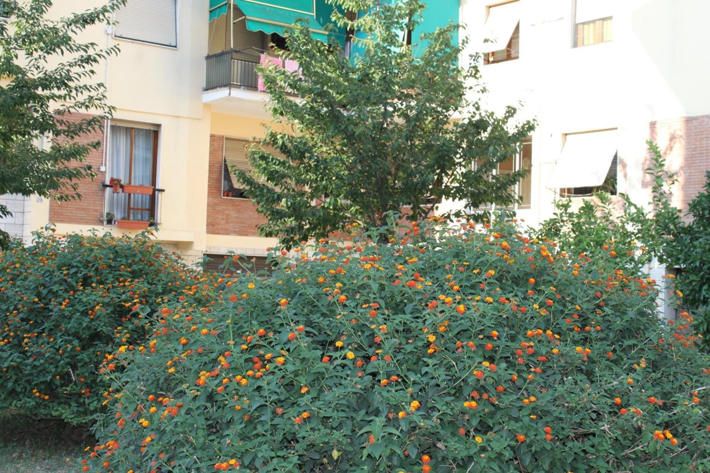 La Perla Affittacamere