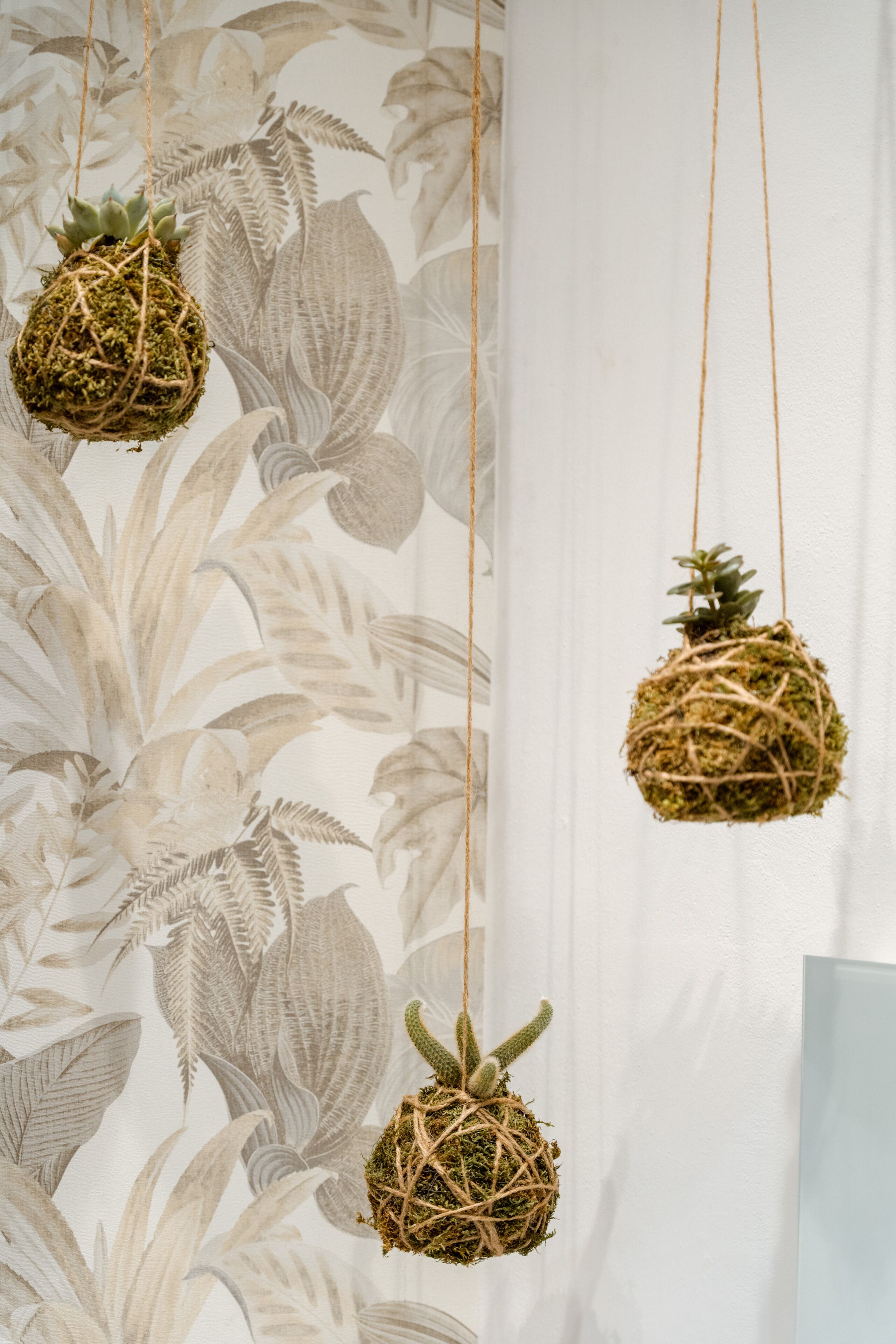 Le 5 Terre La Spezia