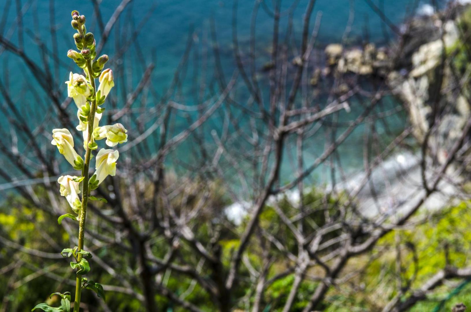 Hotel Villa Argentina