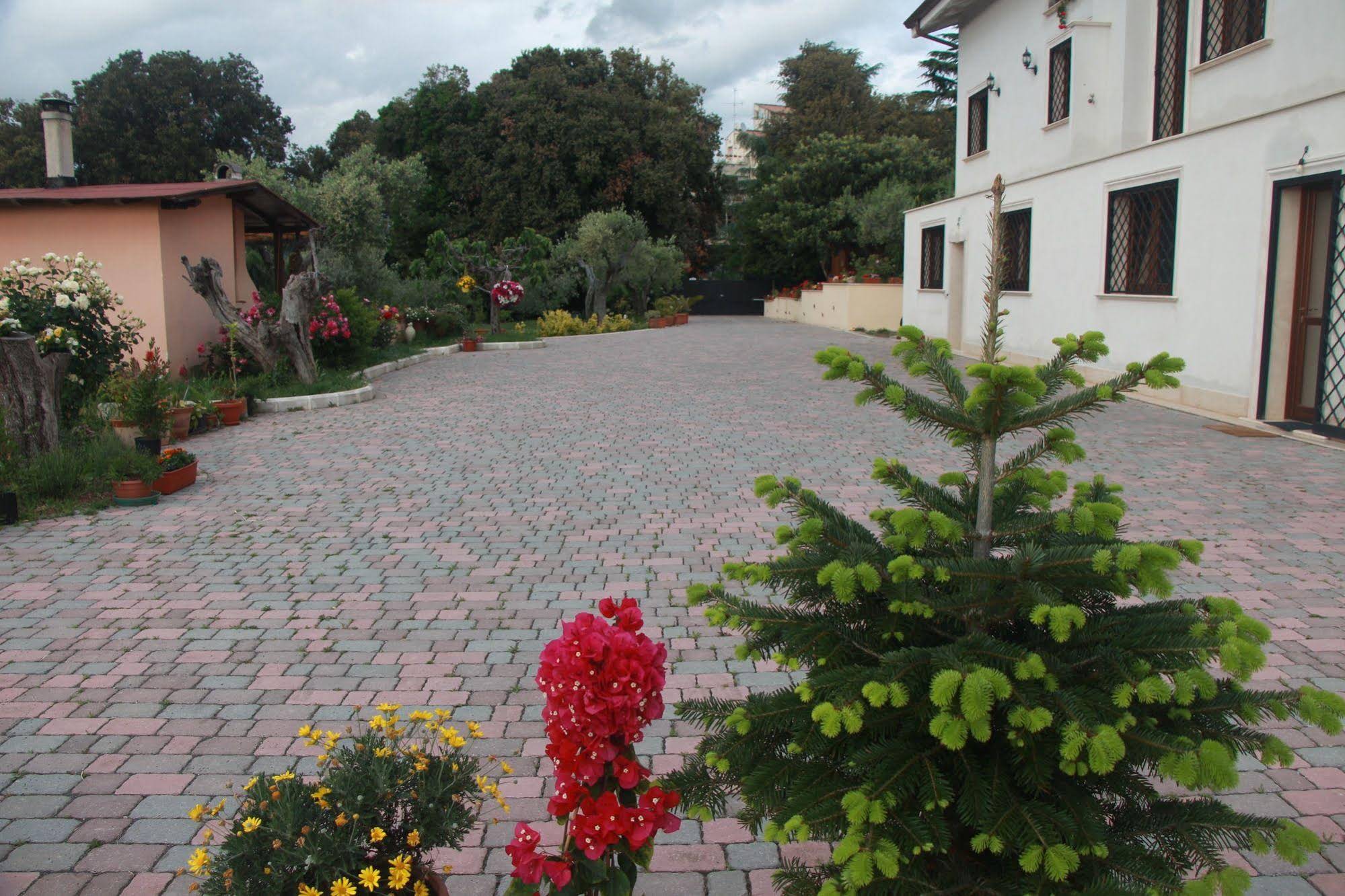 B&B La Terrazza Di Frascati