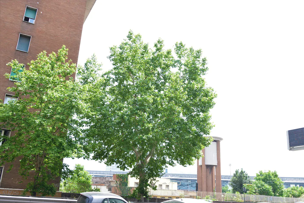 Affittacamere A Casa Mia