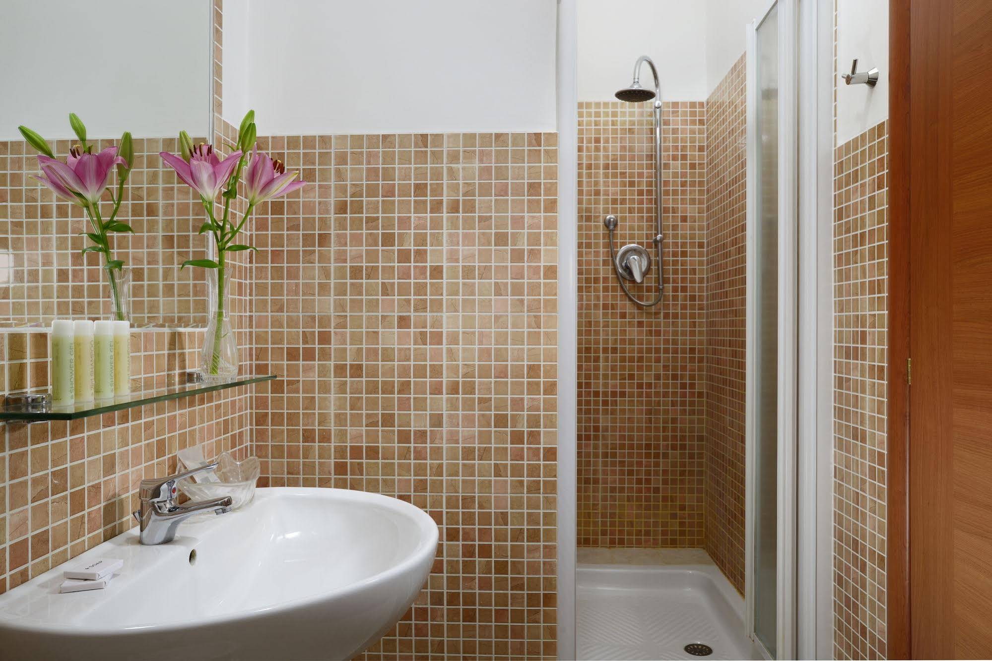 Alba Domus Roma B&B