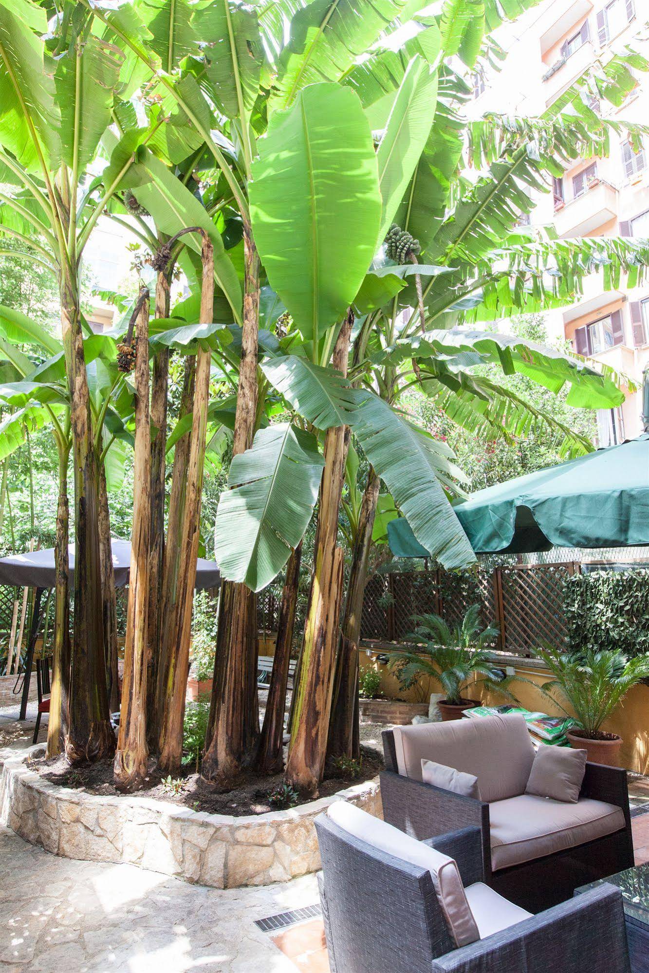 Almes Roma B&B