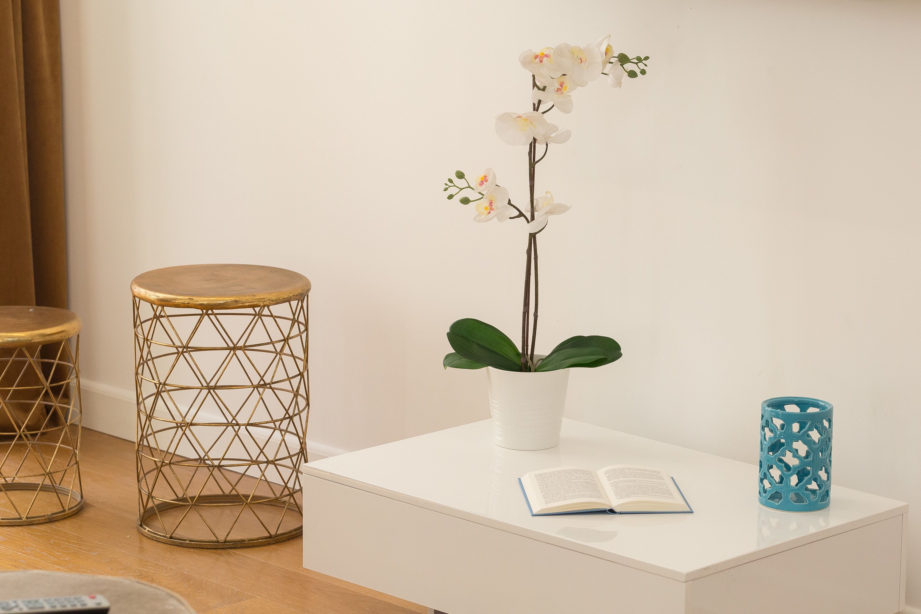 Amazing Piazza Venezia Suites