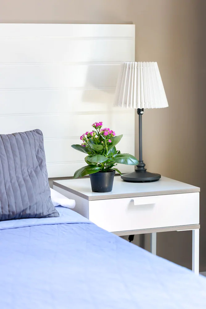 Amoroma Suite