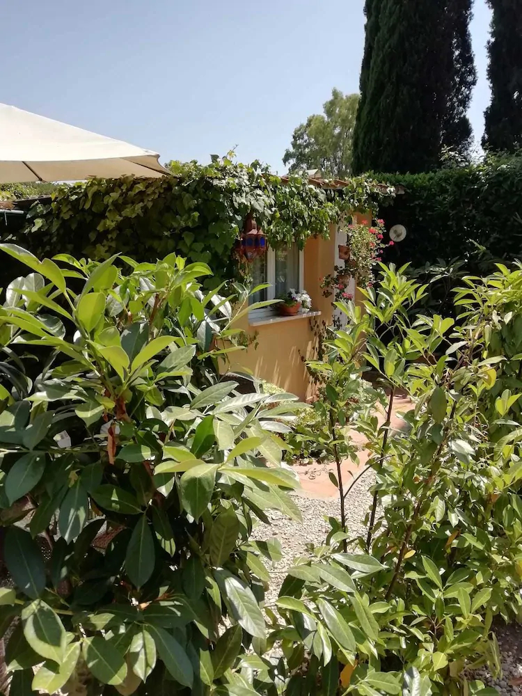 Appia Antica Cottage