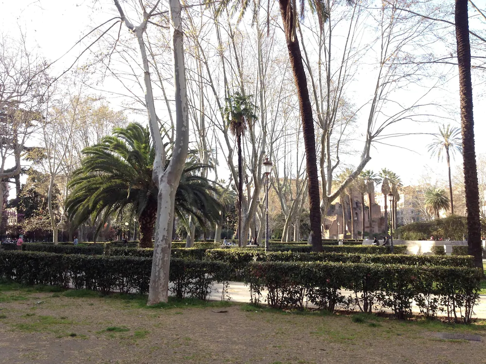 B&B Girasole VIII