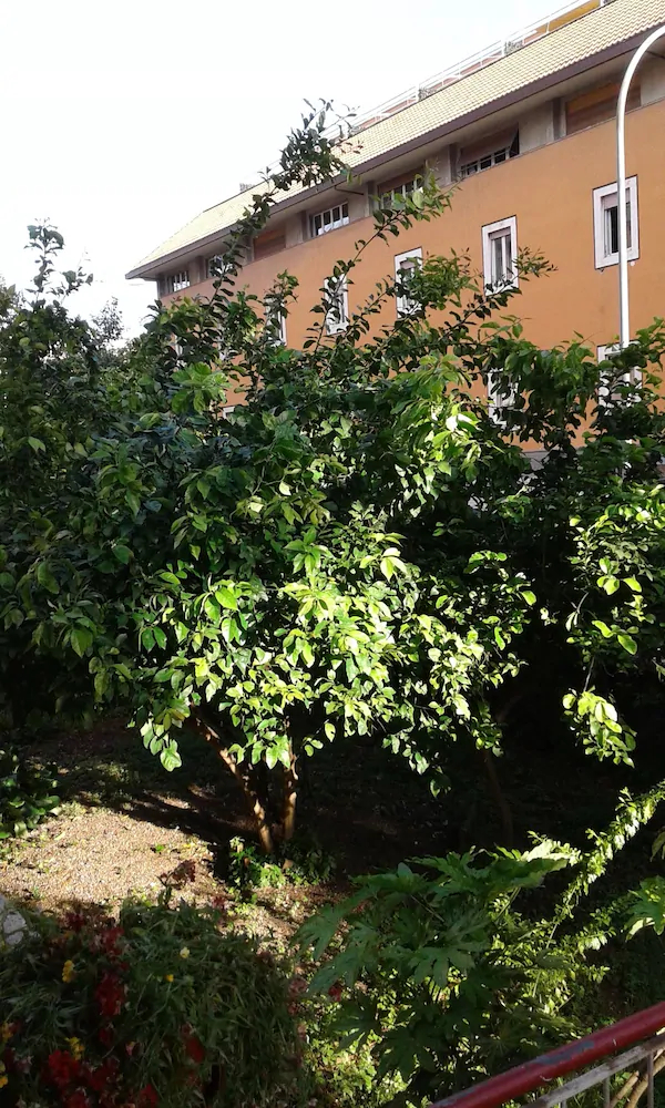 Bed & Breakfast Livinghouse